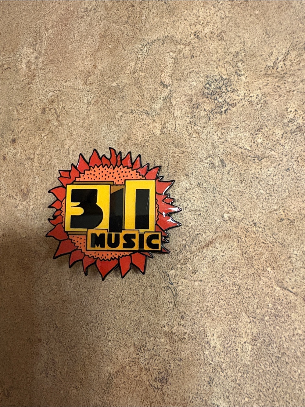 311 Band Pin
